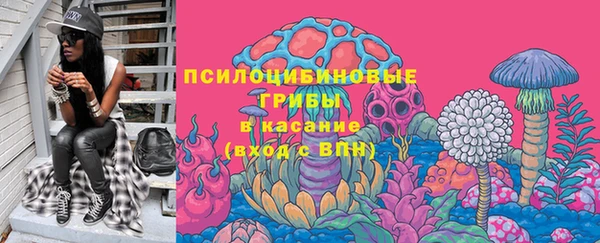 эйфоретик Баксан