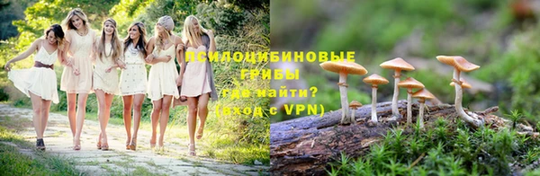 ПСИЛОЦИБИНОВЫЕ ГРИБЫ Балабаново