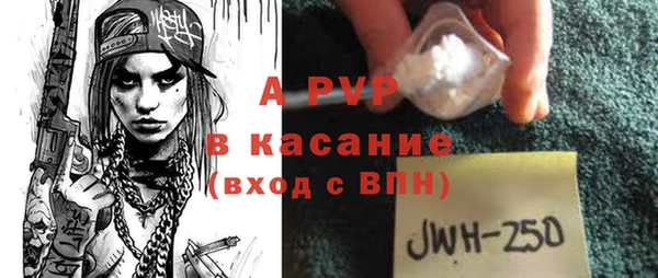 эйфоретик Баксан