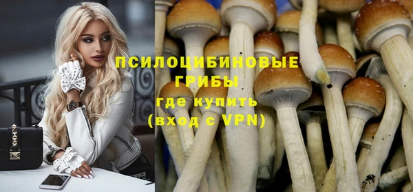 трава Богданович
