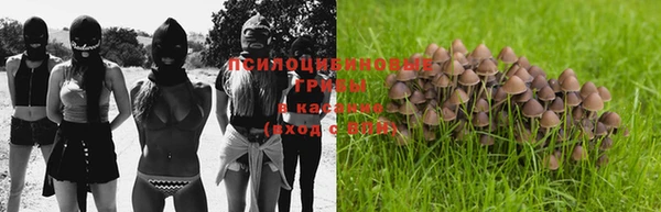 эйфоретик Баксан