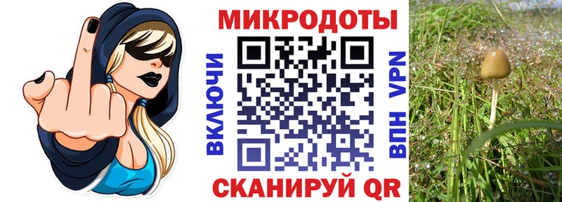Купить закладки  Светлогорск  Псилоцибиновые грибы прущие грибы 
